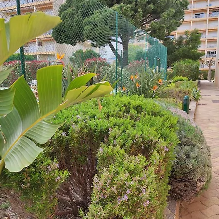 T2- Piscine- Commerces- Plages- Clim Апартаменты