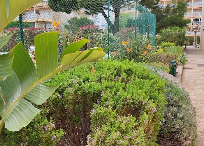 T2- Piscine- Commerces- Plages- Clim Apartment